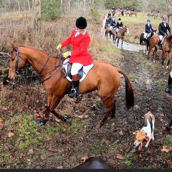 Meet your Posher, Cindi - Picture 1 of 1